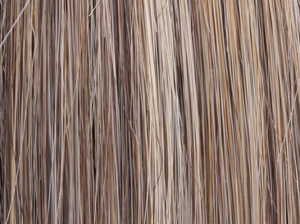 Prótesis Capilar de Mujer | Real de Ellen Wille