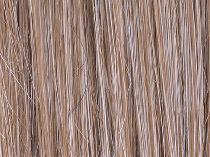 Prótesis Capilar de Mujer | Real de Ellen Wille