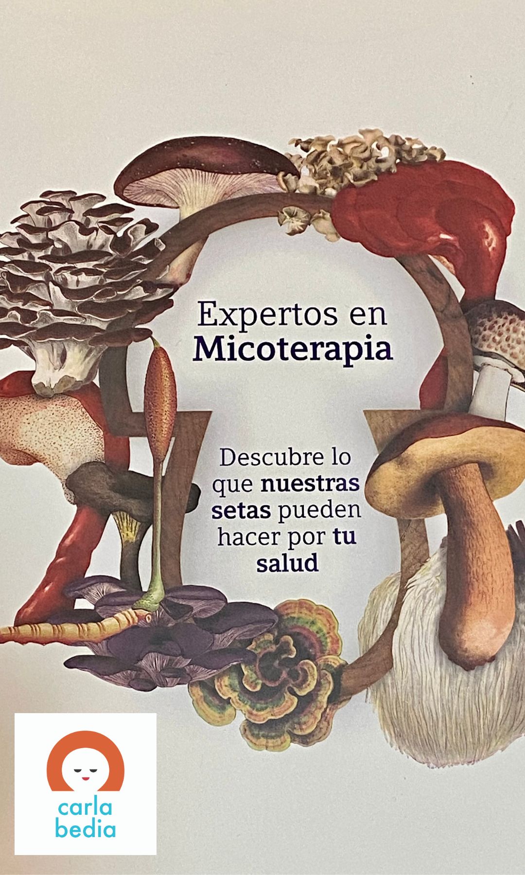 micoterapia alicante