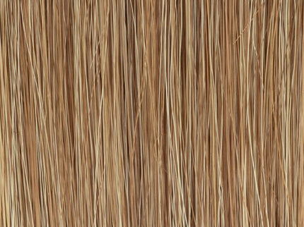 Peluca Pelo Natural Europeo | Jadore Small Deluxe de Ellen Wille