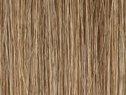 Peluca Pelo Natural Europeo | Jadore Small Deluxe de Ellen Wille