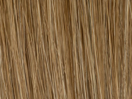 Peluca Pelo Natural Europeo | Mikado Mono de Ellen Wille