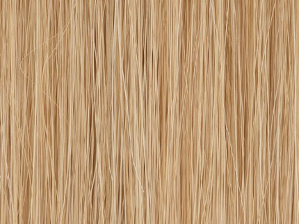 Peluca Pelo Natural Europeo | Prestige Deluxe de Ellen Wille