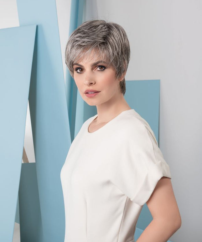 ew_modixx_napolisoft_5_1