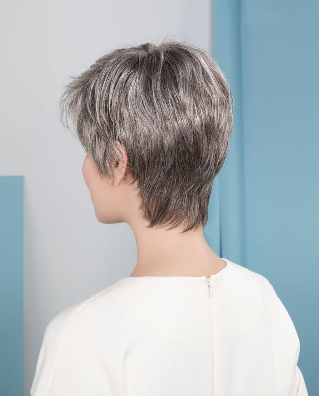 ew_modixx_napolisoft_7_1