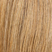 Light Bernstein Rooted