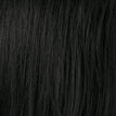 Ebony Black