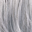 Metallic Grey Rooted