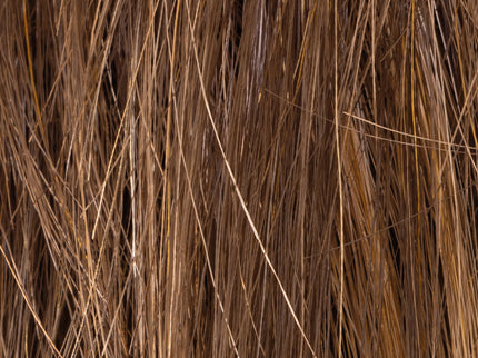 Muestra de color mocca de Ellen Wille Perucci