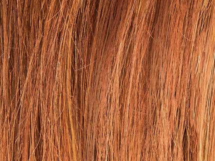Muestra de color safranred de Ellen Wille Perucci