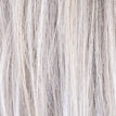 Silverblonde Rooted
